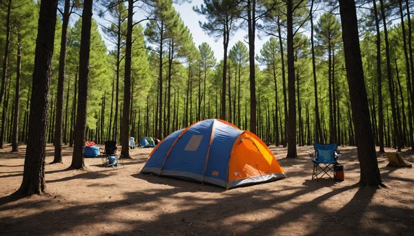 Astuces pratiques pour camper à petit prix près de perpignan